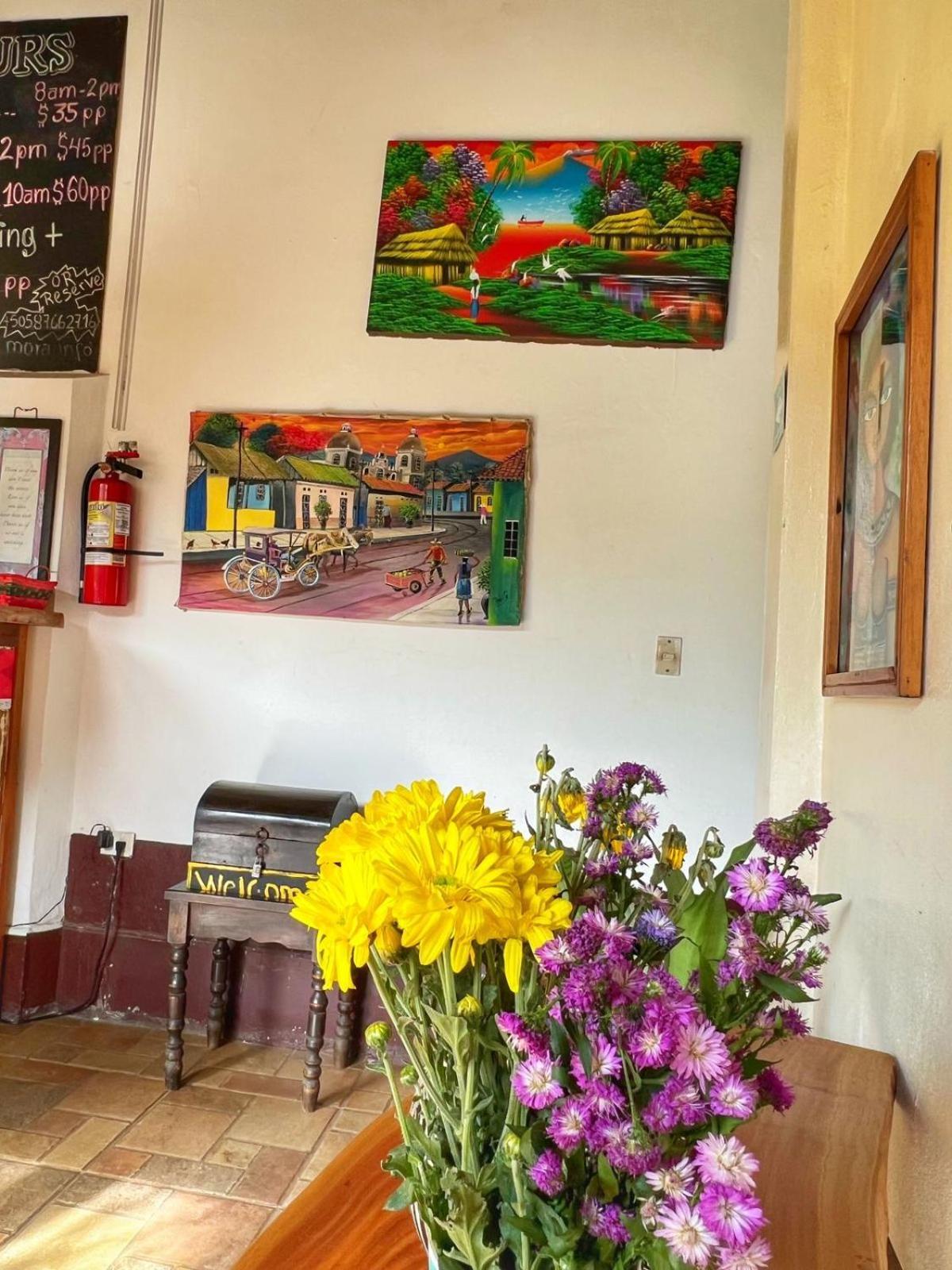 Al Sole Guesthouse León Extérieur photo